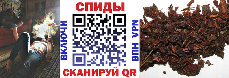 БУТИРАТ оксана  Купить где  Городец 