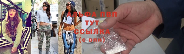 PSILOCYBIN Зеленодольск