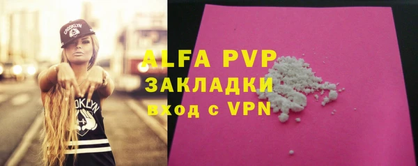 PSILOCYBIN Зеленодольск