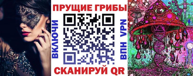 Купить закладки  Городец  Псилоцибиновые грибы Magic Shrooms 