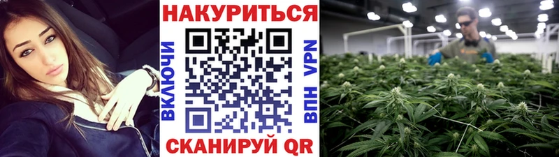 Купить где  Городец  МАРИХУАНА VHQ 
